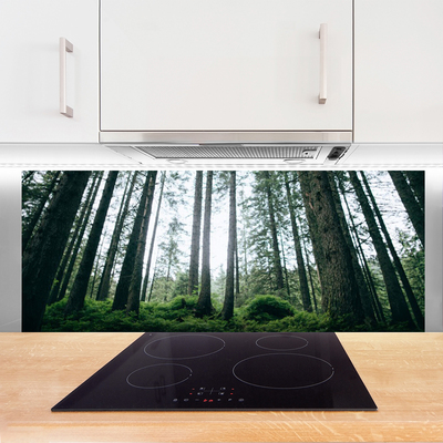 Szkło nad Blatem Promienie Słońca W Lesie