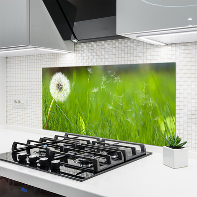 Szkło do Kuchni na Ścianę Lekkość Lata: Dmuchawiec