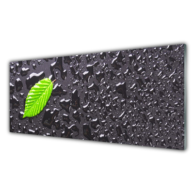 Szkło do Kuchni na Ścianę Rosa Na Młodym Liściu