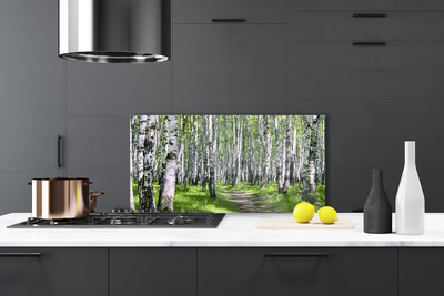 Panel Kuchenny Ścieżka Przez Słoneczny Las