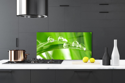 Panel nad blat kuchenny Tropikalna Flora Liściasta