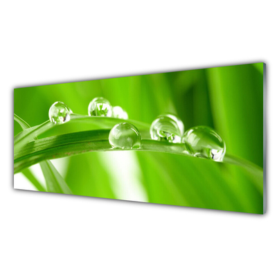 Panel nad blat kuchenny Tropikalna Flora Liściasta