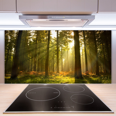 Panel Kuchenny Bór Sosnowy W Słońcu