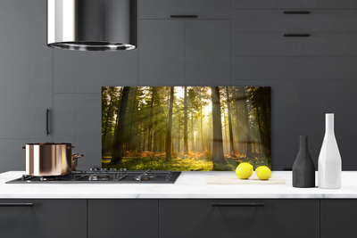 Panel Kuchenny Bór Sosnowy W Słońcu