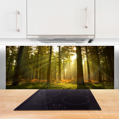 Panel Kuchenny Bór Sosnowy W Słońcu