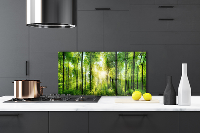 Panel Kuchenny Ścieżka Wśród Drzew