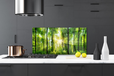 Panel Kuchenny Ścieżka Wśród Drzew