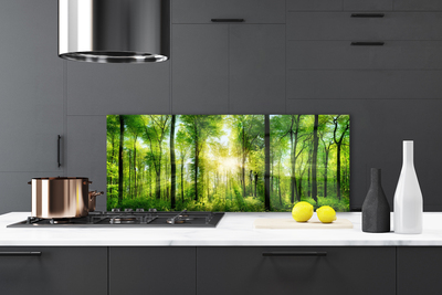 Panel Kuchenny Ścieżka Wśród Drzew