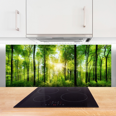 Panel Kuchenny Ścieżka Wśród Drzew