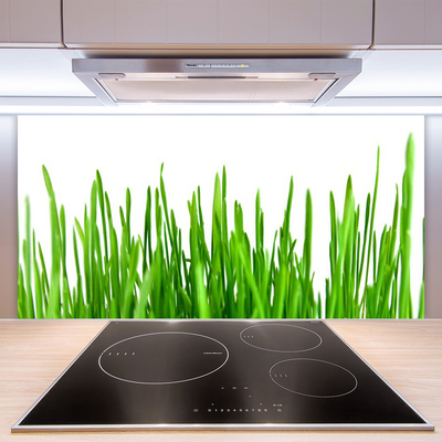 Panel Kuchenny Polna Trawa O Złotej Godzinie