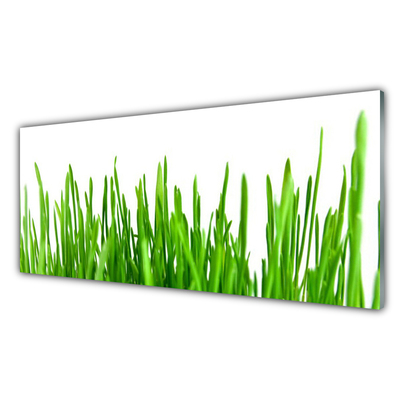 Panel Kuchenny Polna Trawa O Złotej Godzinie