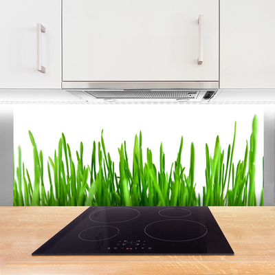 Panel Kuchenny Polna Trawa O Złotej Godzinie