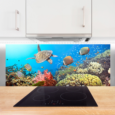 Panel Kuchenny Kolorowe Życie Rafy Koralowej