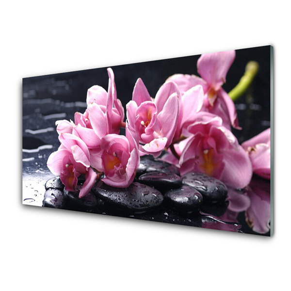 Panel Kuchenny Kwiat Orchidea Roślina