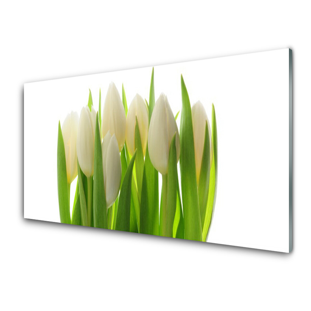 Panel Kuchenny Tulipany Roślina Natura