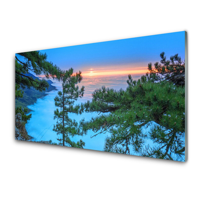 Panel Kuchenny Majestatyczne Drzewa W Lesie