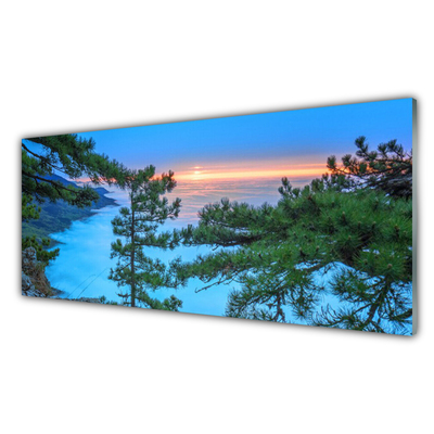 Panel Kuchenny Majestatyczne Drzewa W Lesie