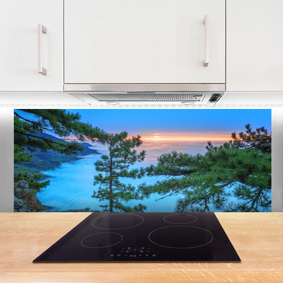 Panel Kuchenny Majestatyczne Drzewa W Lesie