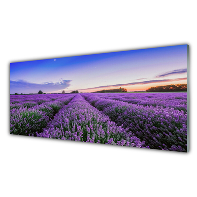 Panel Kuchenny Letnia Łąka Pełna Kwiatów