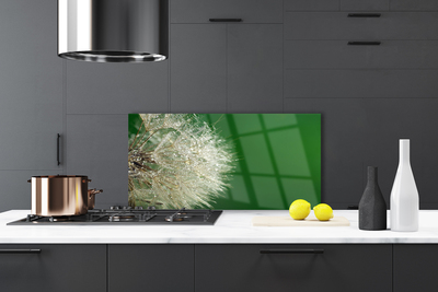 Szkło do Kuchni na Ścianę Puszysty Mniszek Lekarski