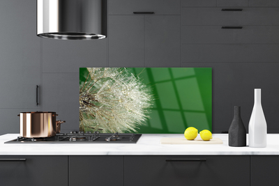 Szkło do Kuchni na Ścianę Puszysty Mniszek Lekarski