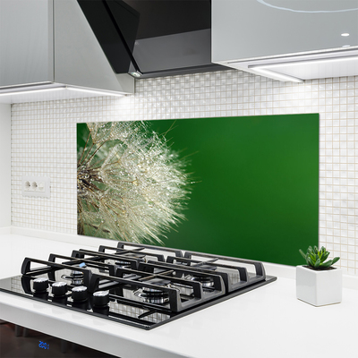 Szkło do Kuchni na Ścianę Puszysty Mniszek Lekarski