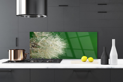 Szkło do Kuchni na Ścianę Puszysty Mniszek Lekarski