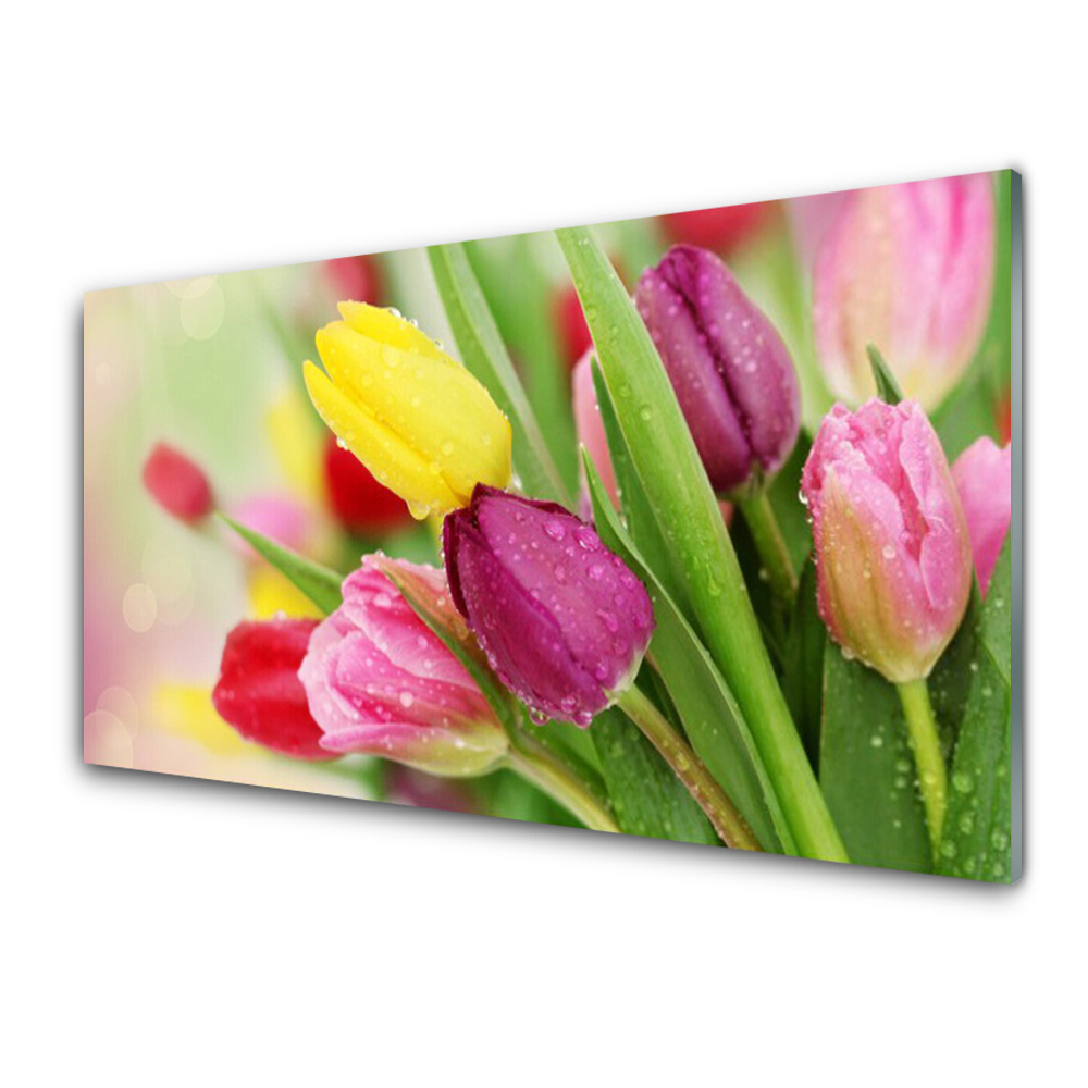 Panel Kuchenny Tulipany Kwiaty Roślina