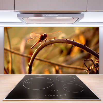 Szkło Ozdobne do Kuchni Ważka Na Roślinie