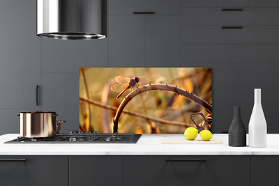 Szkło Ozdobne do Kuchni Ważka Na Roślinie