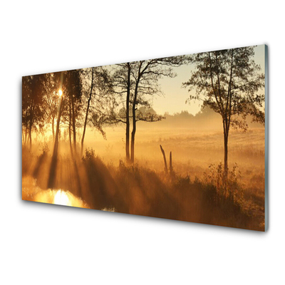 Panel Kuchenny Leśna Gęstwina Drzew