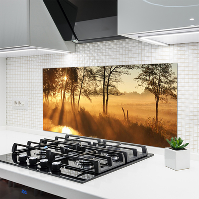 Panel Kuchenny Leśna Gęstwina Drzew