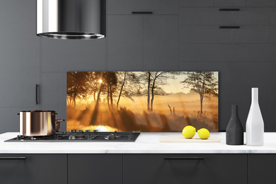 Panel Kuchenny Leśna Gęstwina Drzew