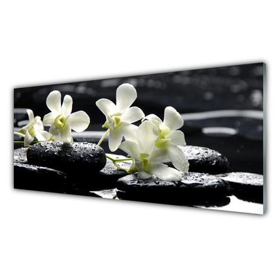 Panel nad blat kuchenny Storczyk Na Gładkich Kamieniach