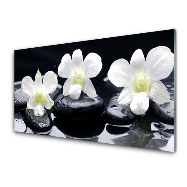 Panel Kuchenny Orchidea Kamienie Roślina