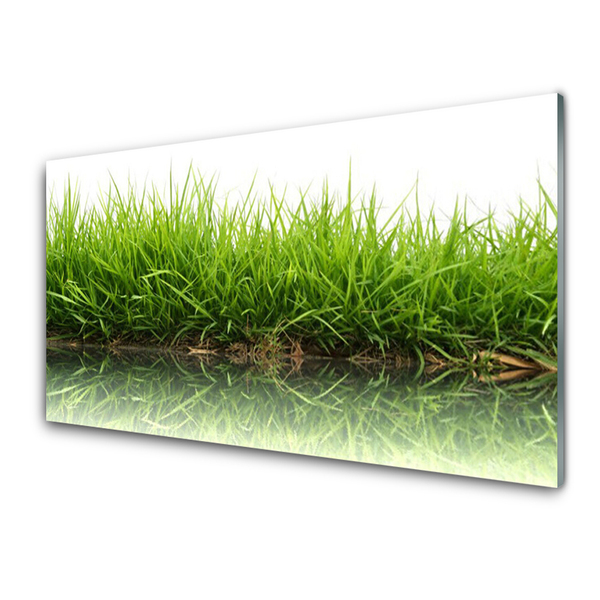 Szkło do Kuchni na Ścianę Świeżość Trawy Nad Wodą