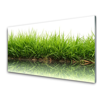 Szkło do Kuchni na Ścianę Świeżość Trawy Nad Wodą
