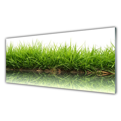 Szkło do Kuchni na Ścianę Świeżość Trawy Nad Wodą