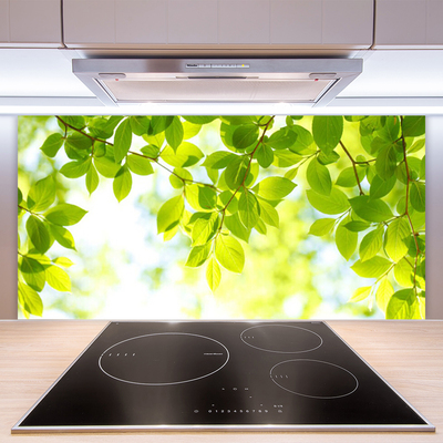 Szkło do Kuchni na Ścianę Świeże Zielone Liście