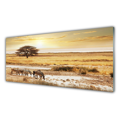 Panel Kuchenny Zebry Na Afrykańskiej Sawannie