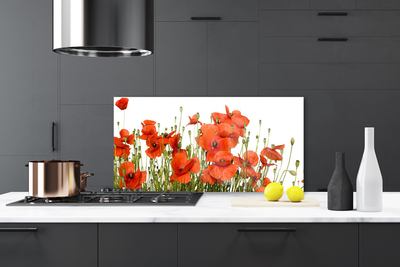 Panel Kuchenny Polne Maki W Słońcu