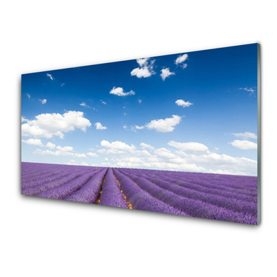 Szkło Ozdobne do Kuchni Kwiatowy Dywan Na Polanie