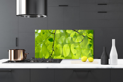 Panel Kuchenny Botaniczny Detal Liści