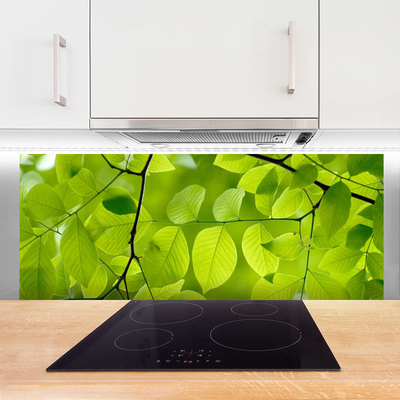 Panel Kuchenny Botaniczny Detal Liści