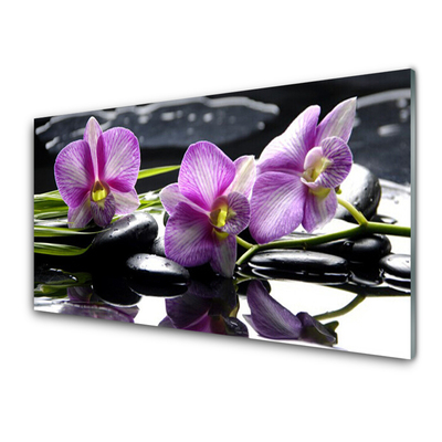 Panel Kuchenny Kwiat Orchidea Roślina