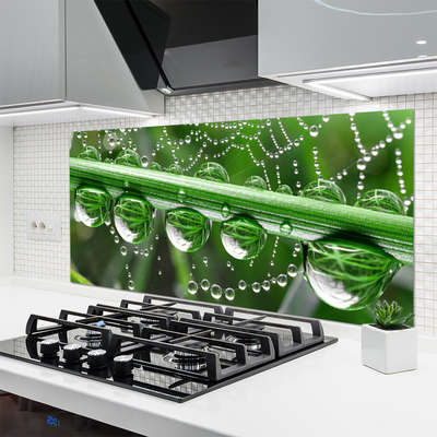 Panel nad blat kuchenny Perlista Pajęczyna W Rosie