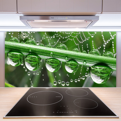 Panel nad blat kuchenny Perlista Pajęczyna W Rosie