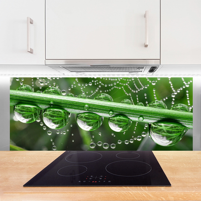 Panel nad blat kuchenny Perlista Pajęczyna W Rosie