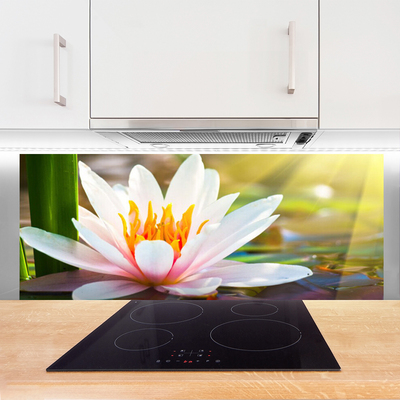 Panel Kuchenny Pełnia Letniego Rozkwitu