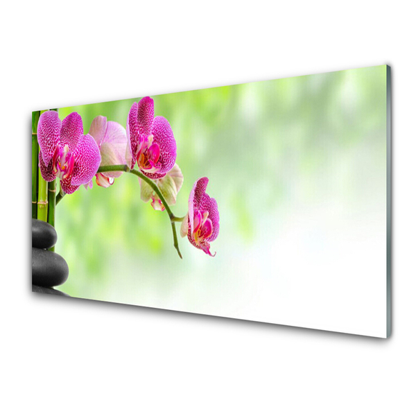 Dekor Szklany do Kuchni Natura W Objęciach Bambusa